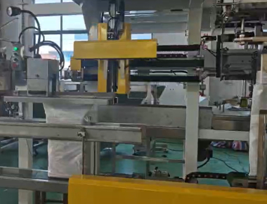 Jakość  Dual-Lane Salt Packaging Machine Line - High-Capacity Salt Packaging Solution fabryka