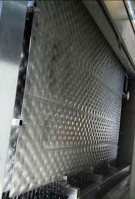 Podwójnie tłoczona płyta poduszkowa 316L Chiller z opadającą folią