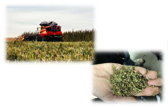 Maszyna do ekstrakcji THC CBD, sprzęt do ekstrakcji CBD na małą skalę